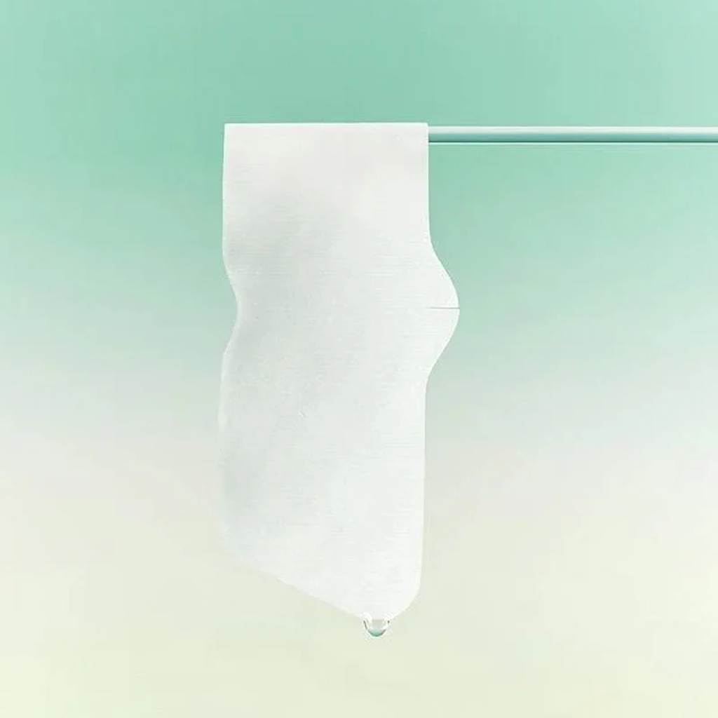 BRINGGREEN 茶树积雪草毛孔鼻贴 5 片