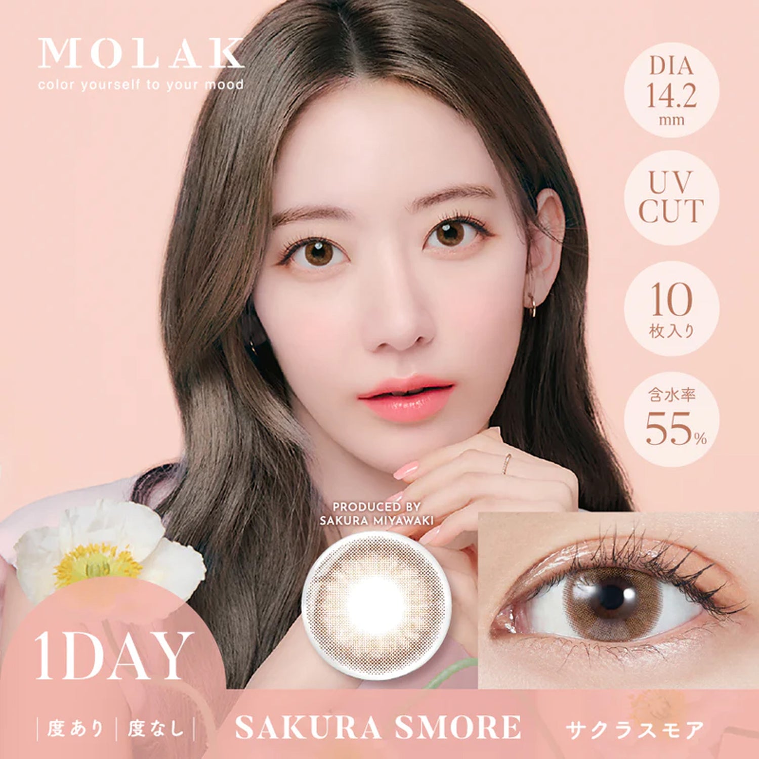 MOLAK 1Day Contact Lenses ±0.00 10pcs