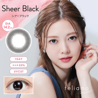 Feliamo Daily Contact Lenses-Sheer Black 10lenses