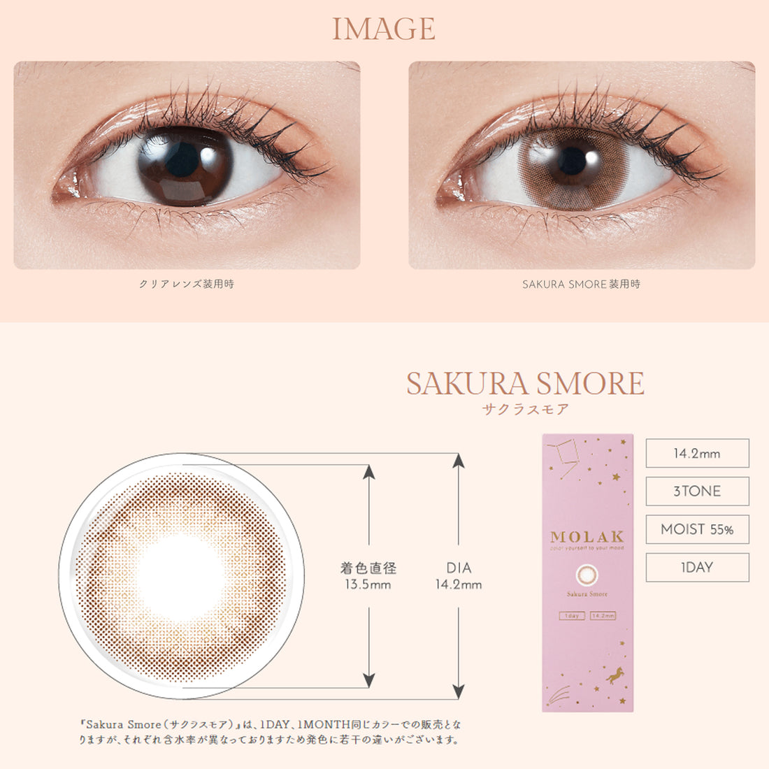 MOLAK Daily Contact Lenses-Sakura Smore 10lenses