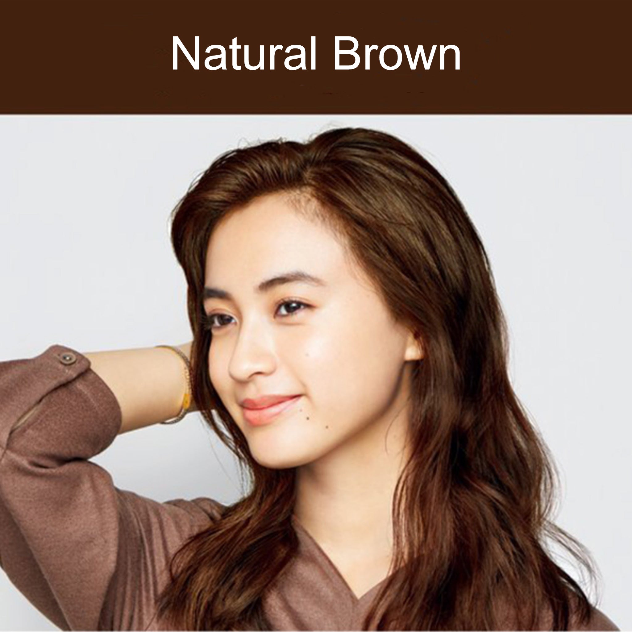 KAO Liese Prettia Bubble Hair Color Natural Brown