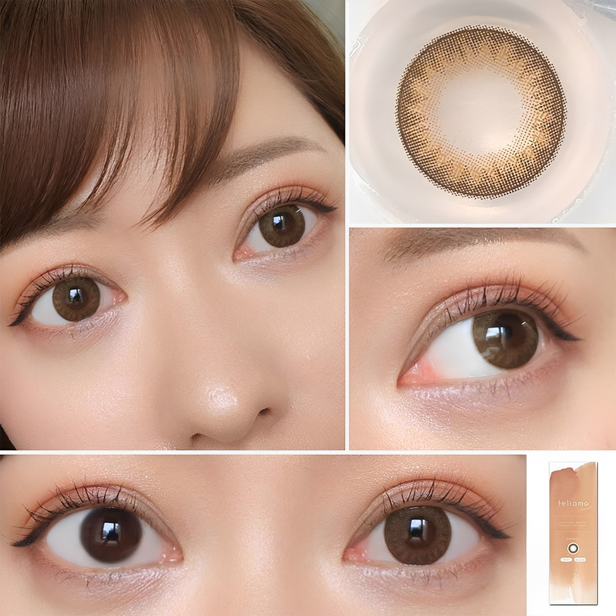 Feliamo 1Day Contact Lenses-Chestnut 10pcs