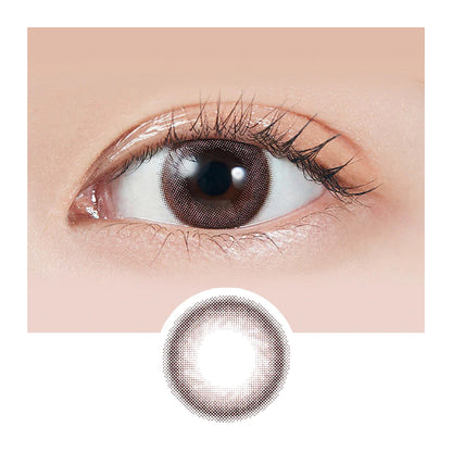 MOLAK Daily Contact Lenses-Sakura Petal 10lenses