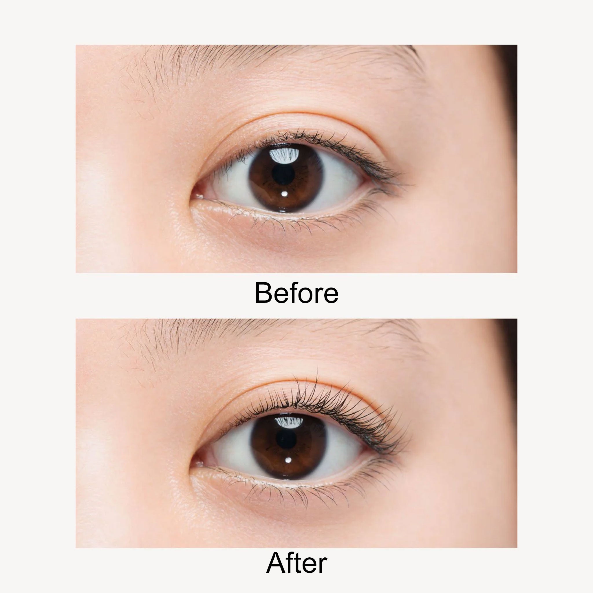 UZU Flowfushi mote Mascara Clear