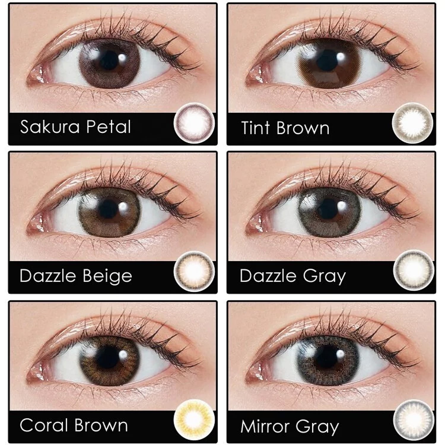 MOLAK 1Day Contact Lenses-Tint Brown 10pcs