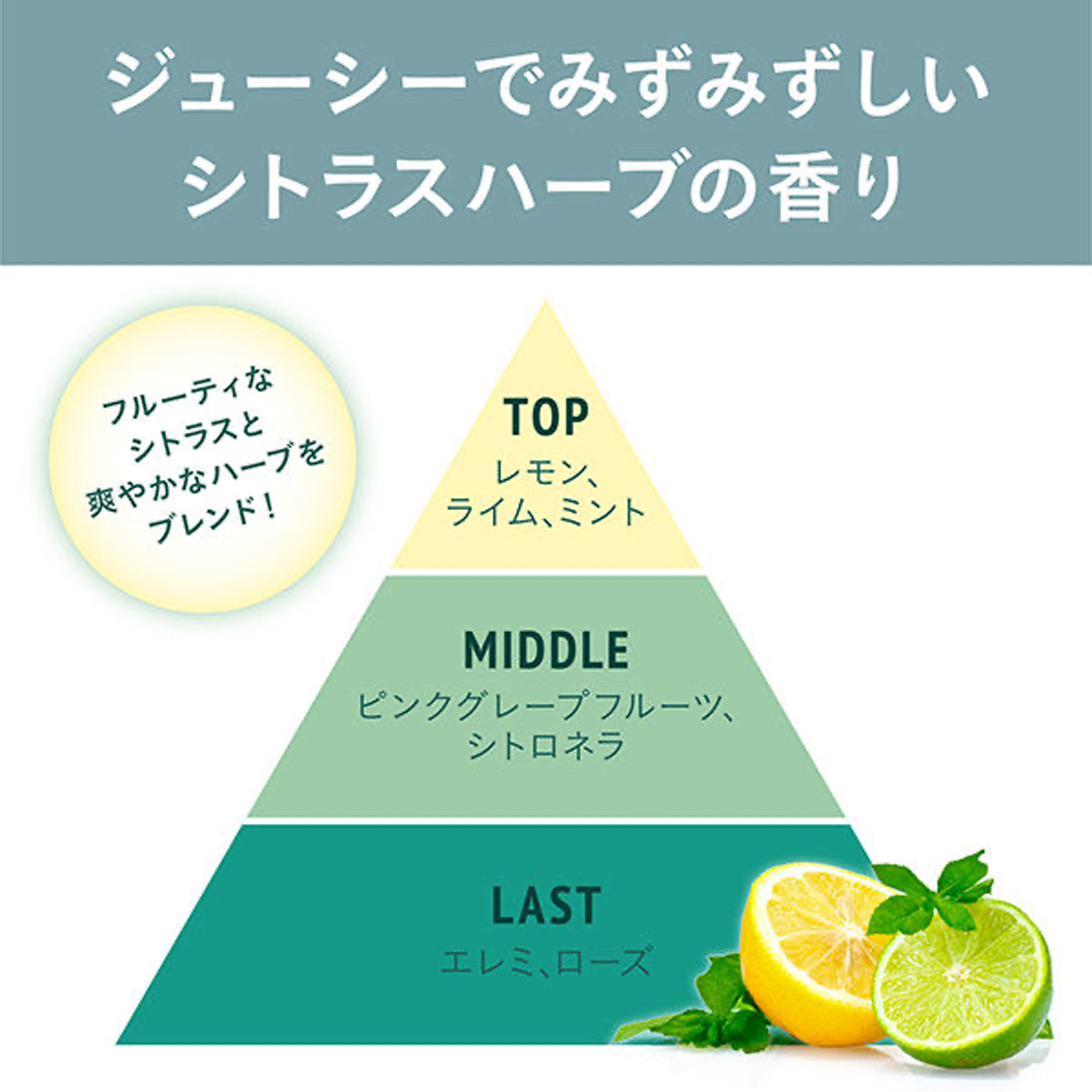 AMINO MASON 保湿控油清洁头皮 护发素