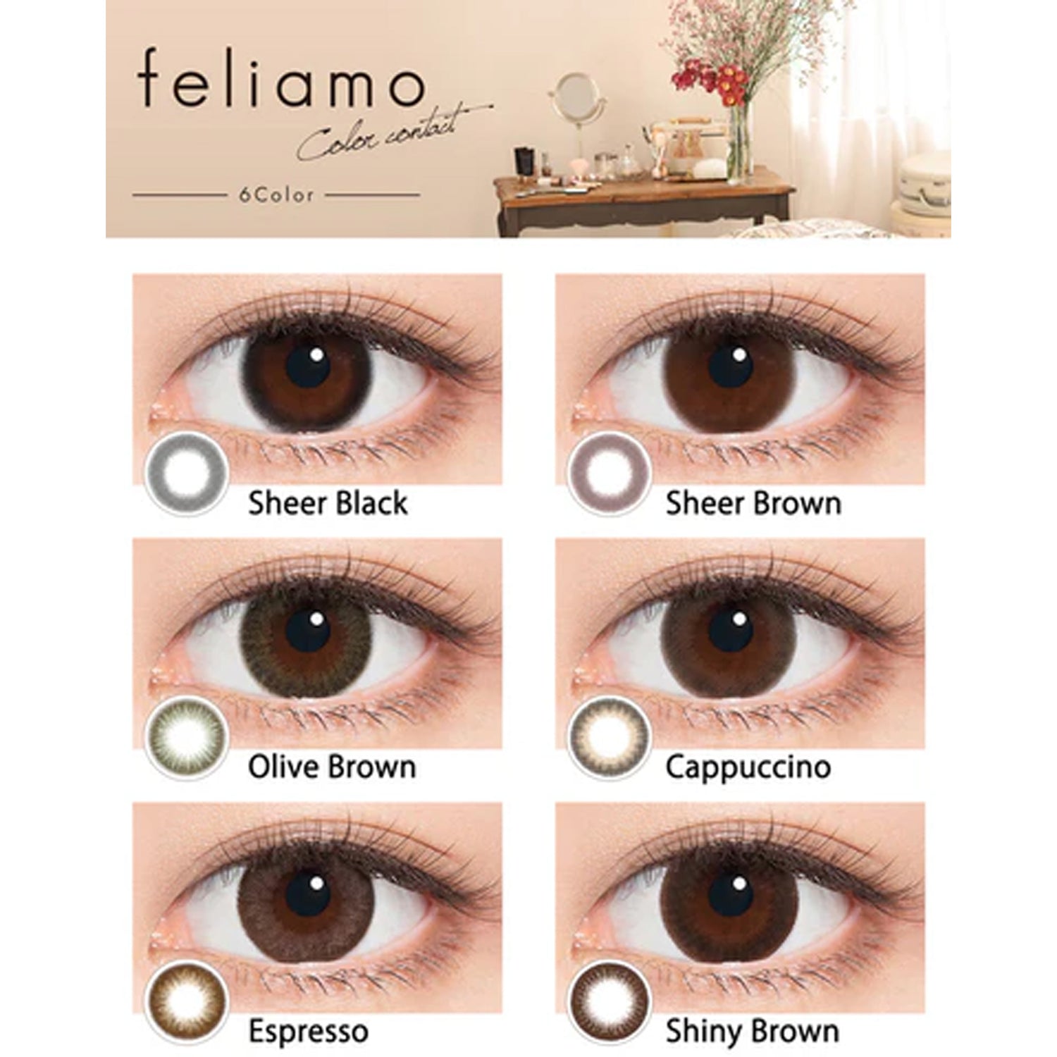 Feliamo Daily Contact Lenses-Espresso 10lenses