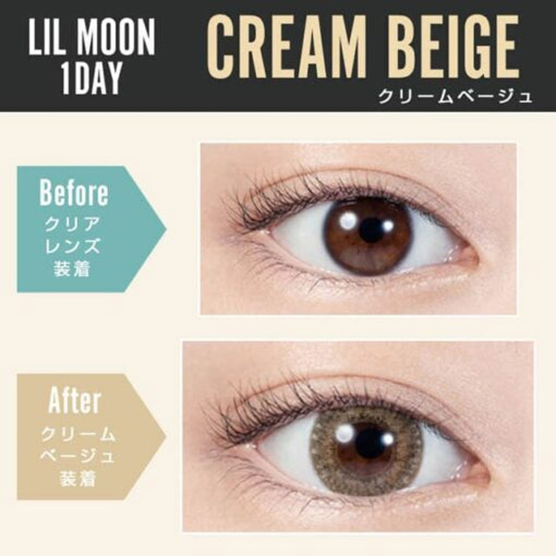 LIL MOON Daily Contact Lenses-Cream Beige 10lenses