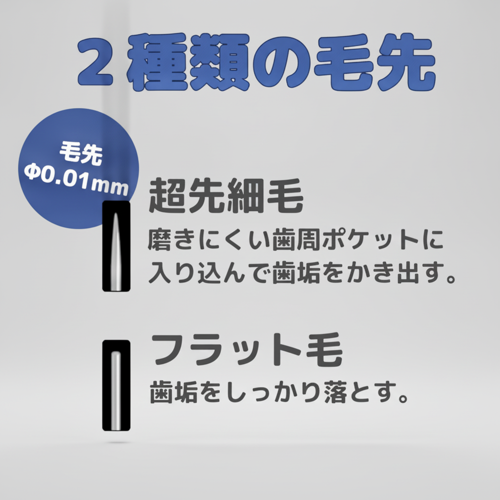 4901221360033_std_4.jpg