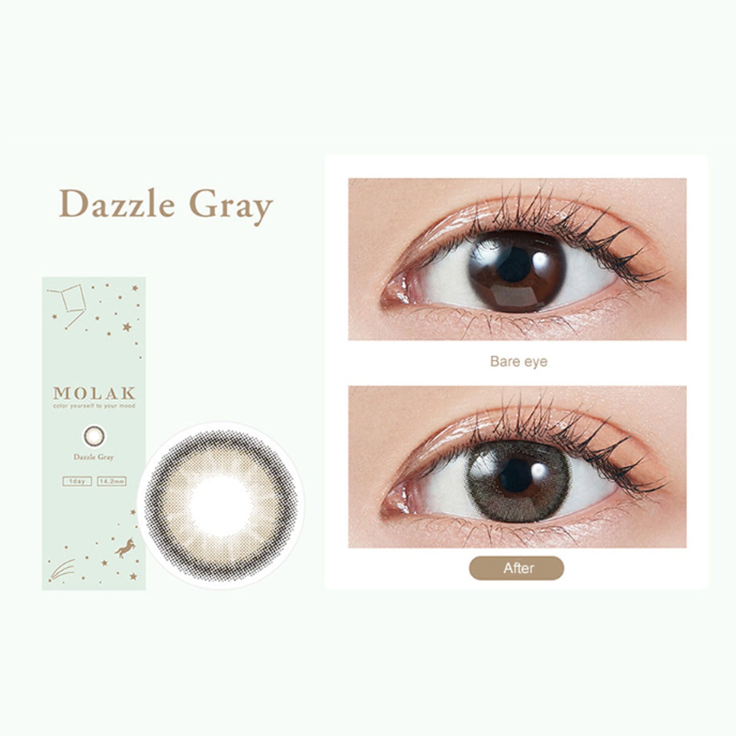 MOLAK Daily Contact Lenses-Dazzle Gray