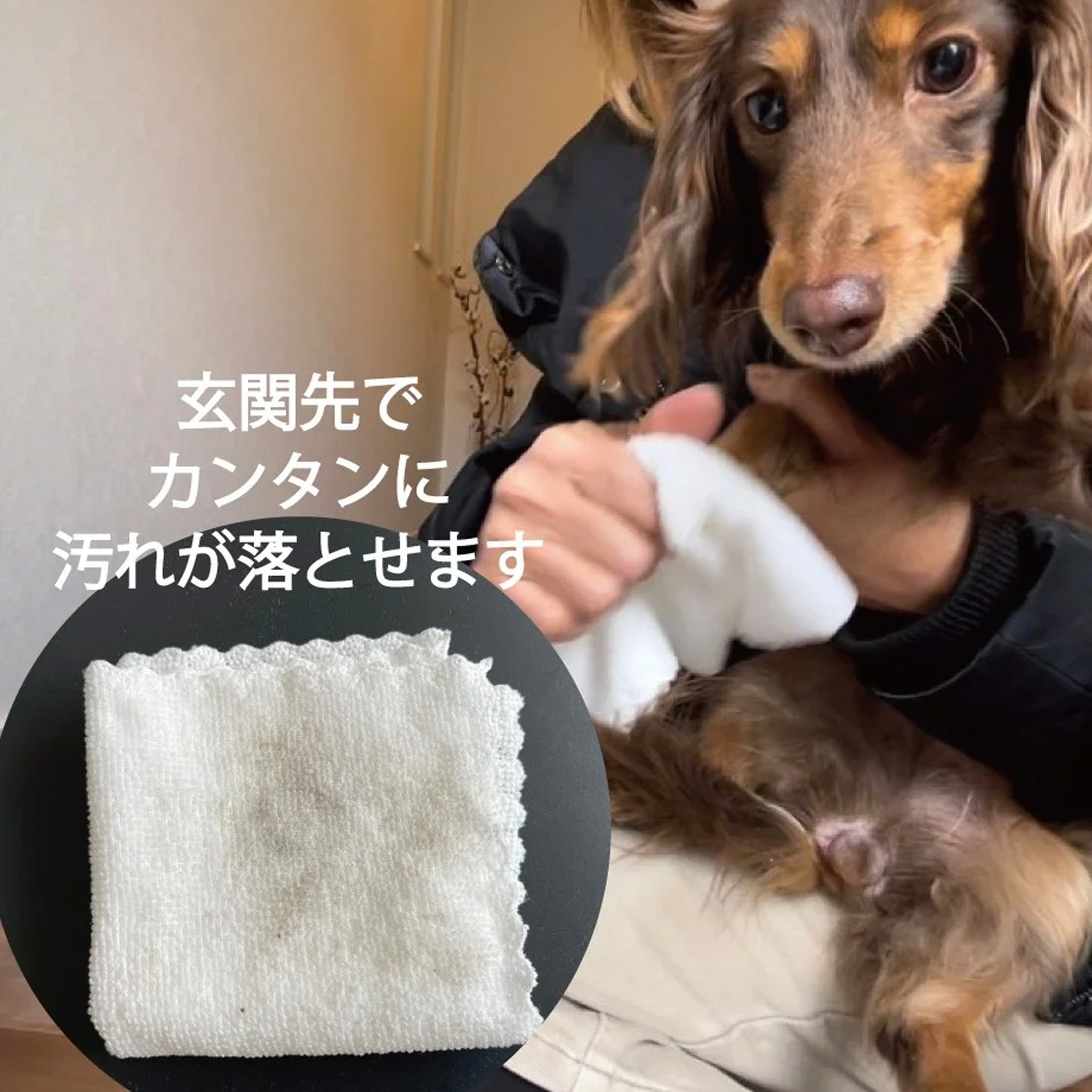 ORP 宠物爪子清洁剂 300ml