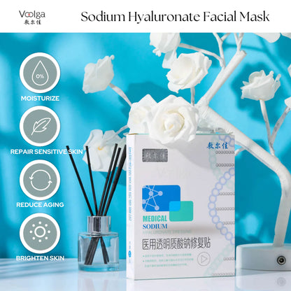 VOOLGA-Medical Sodium Hyaluronate Dressing Mask-5pcs