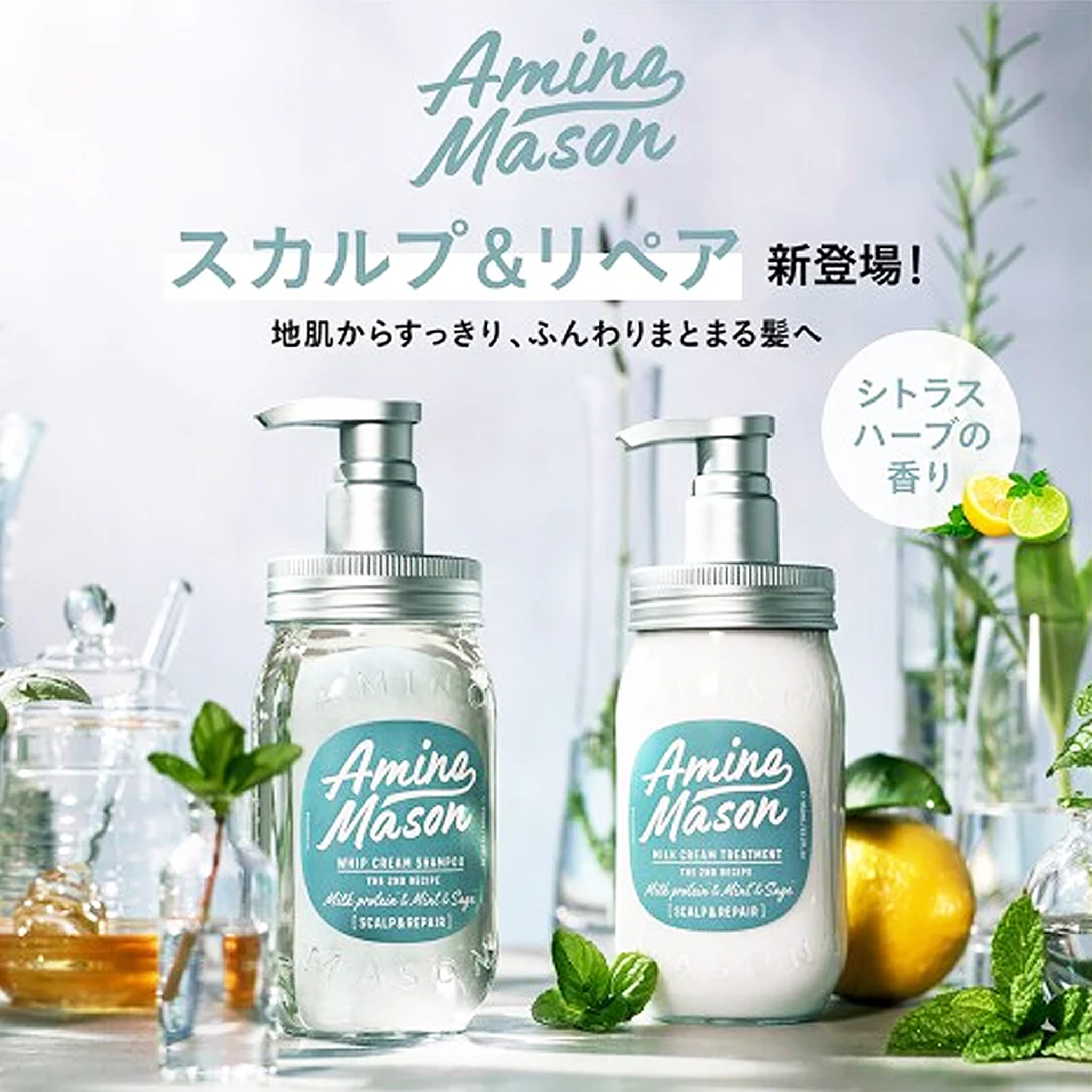 AMINO MASON 保湿控油清洁头皮 护发素