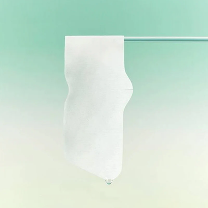 BRINGGREEN 茶树积雪草毛孔鼻贴 5 片