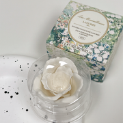 Ladurée 限量蜜粉 101+补充装