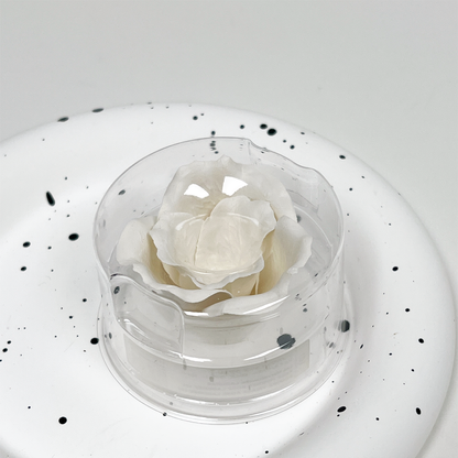 Ladurée 限量蜜粉 101+补充装