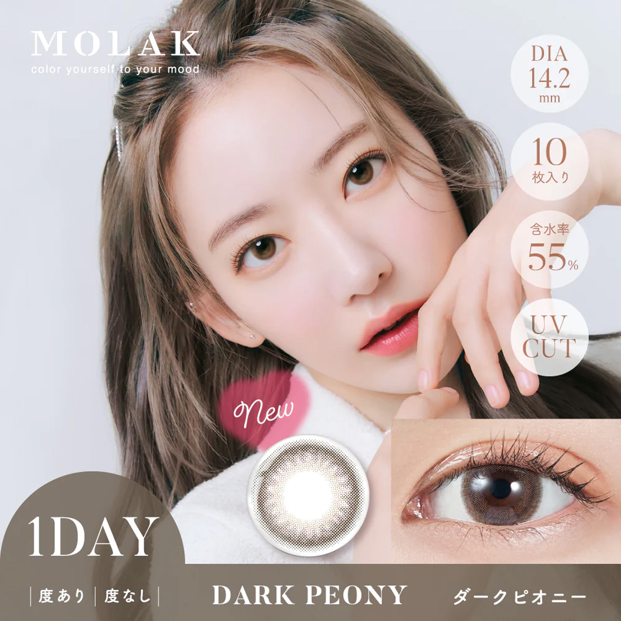 MOLAK 1Day Contact Lenses ±0.00 10pcs