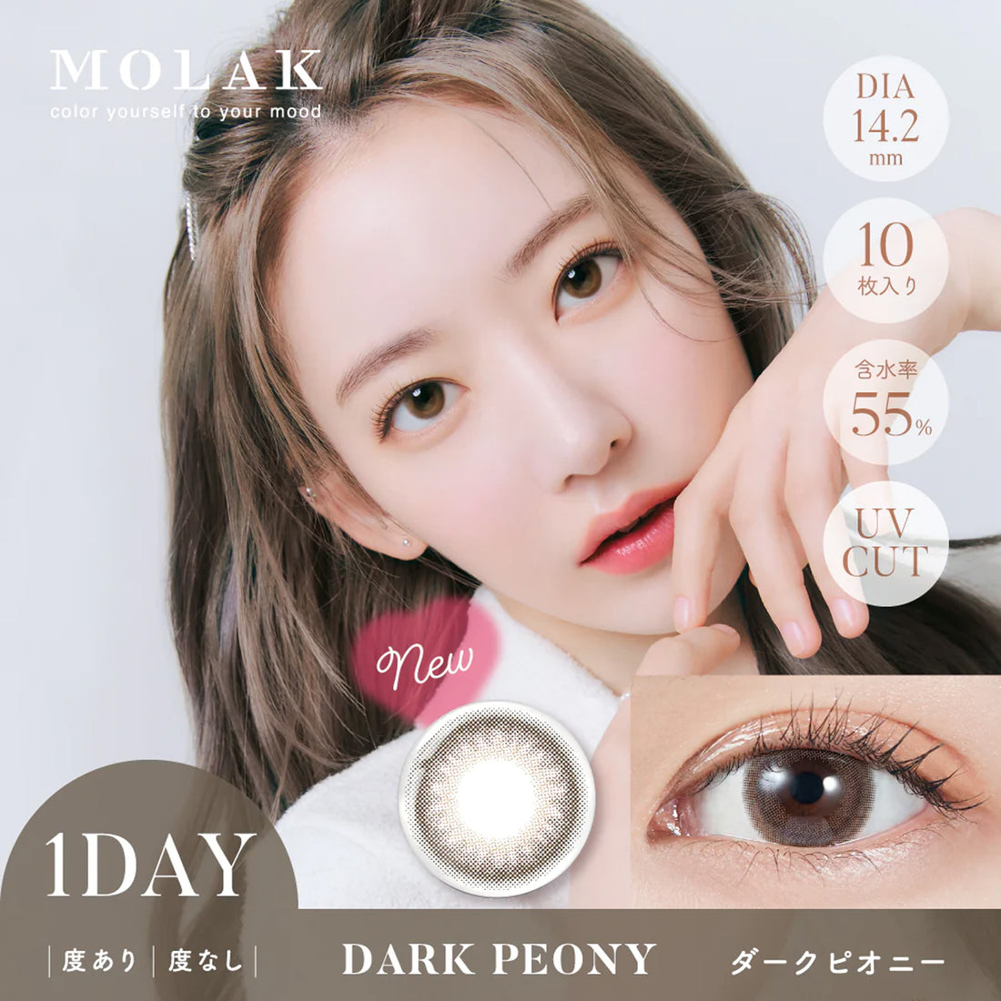 MOLAK Daily Contact Lenses-Dark Peony 10lenses