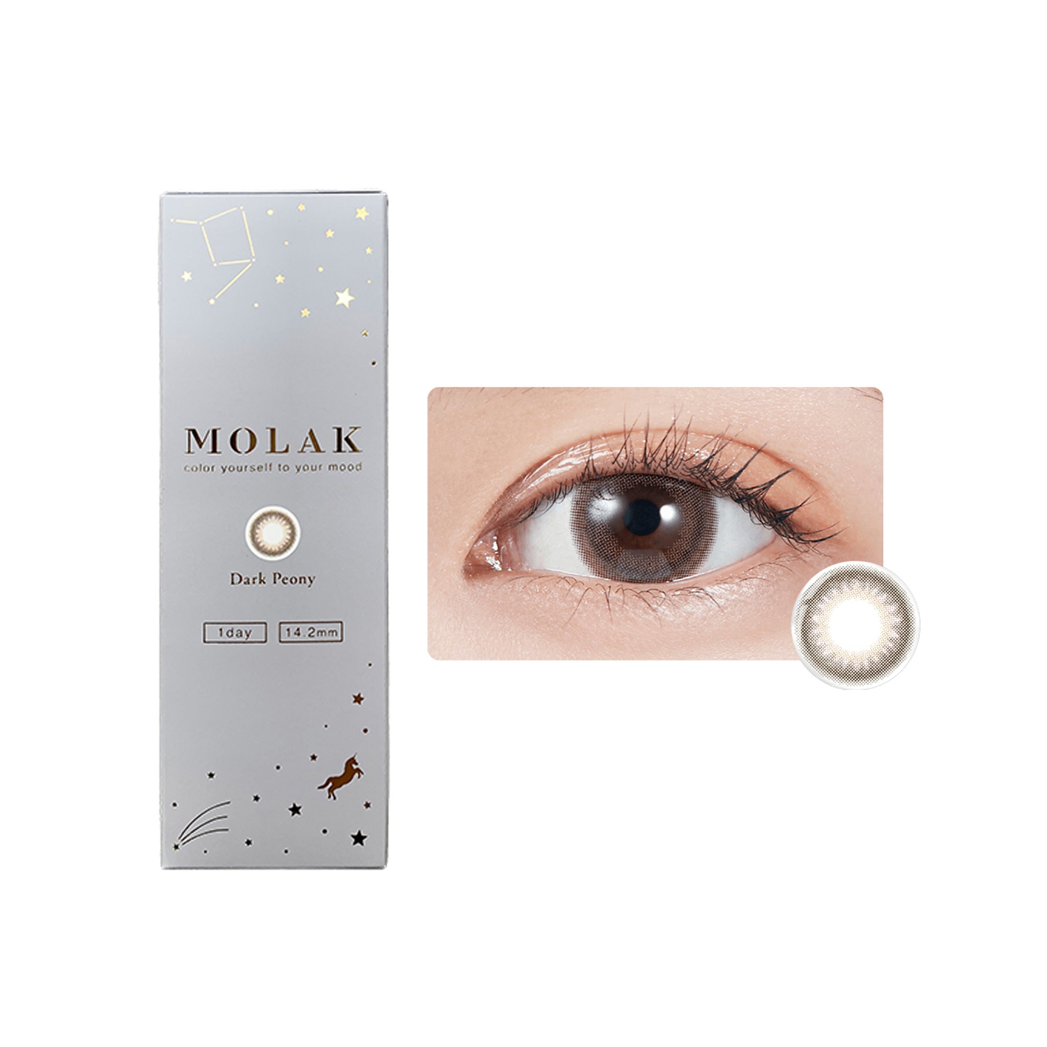 MOLAK 1Day Contact Lenses-Dark Peony 10pcs