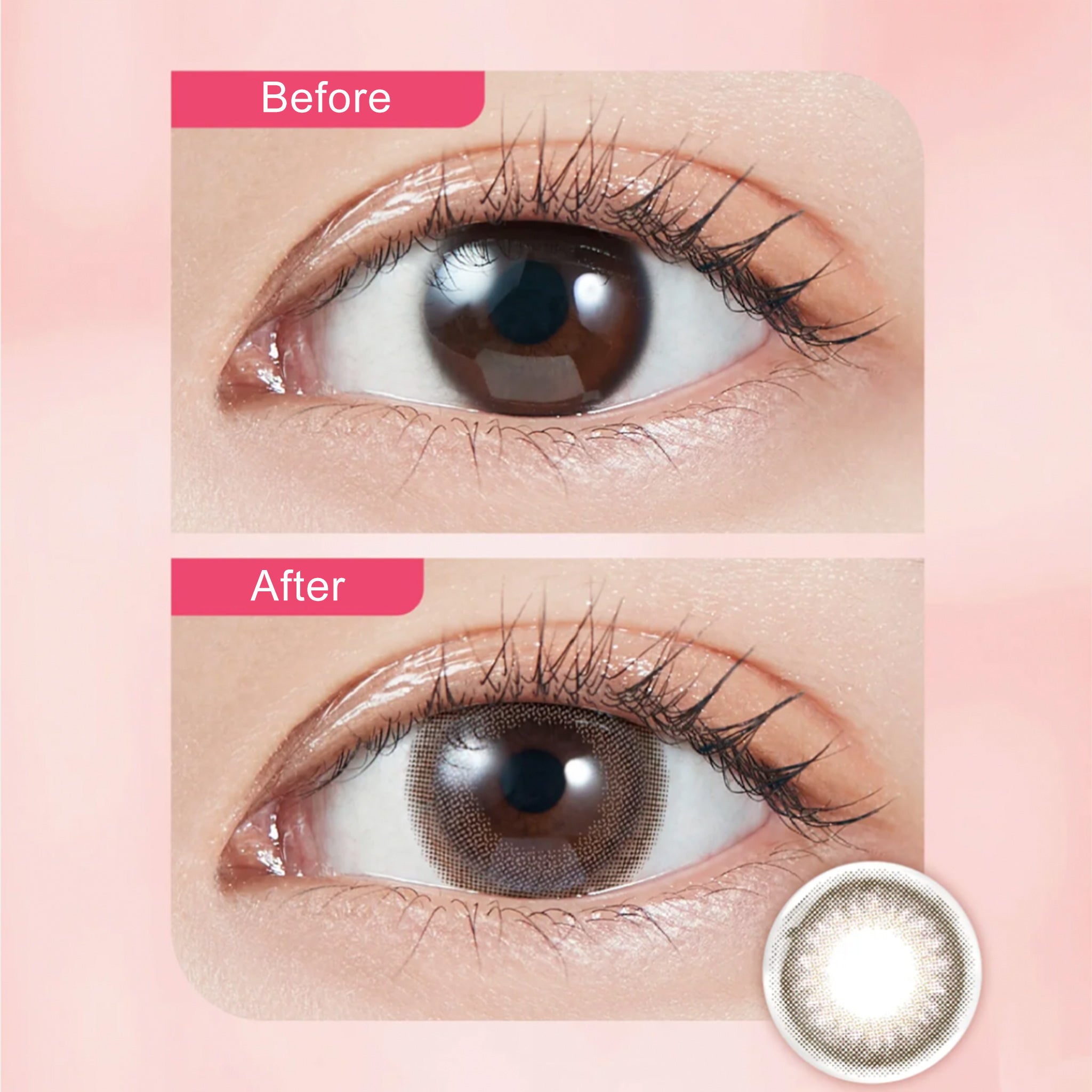 MOLAK 1Day Contact Lenses-Dark Peony 10pcs