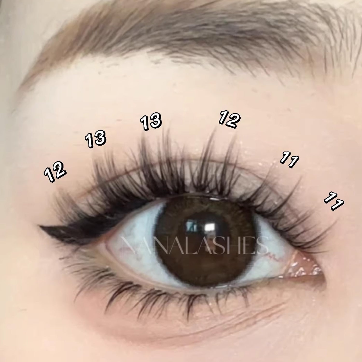 NANALASHES Thai-Style Bold and Alluring D-Curl Cluster False Eyelashes